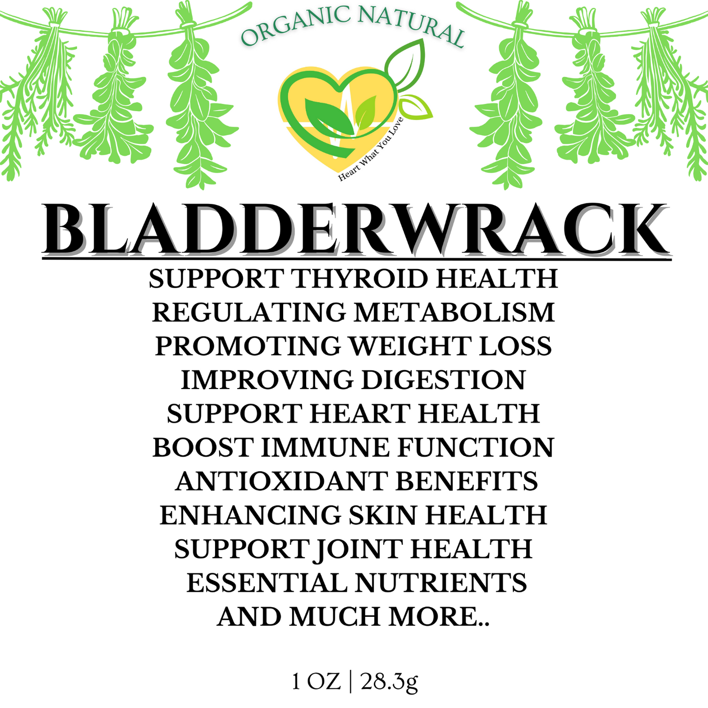 Bladderwrack Seaweed Natural Organic for Thyroid Health & Detox 28.3g | 1 oz