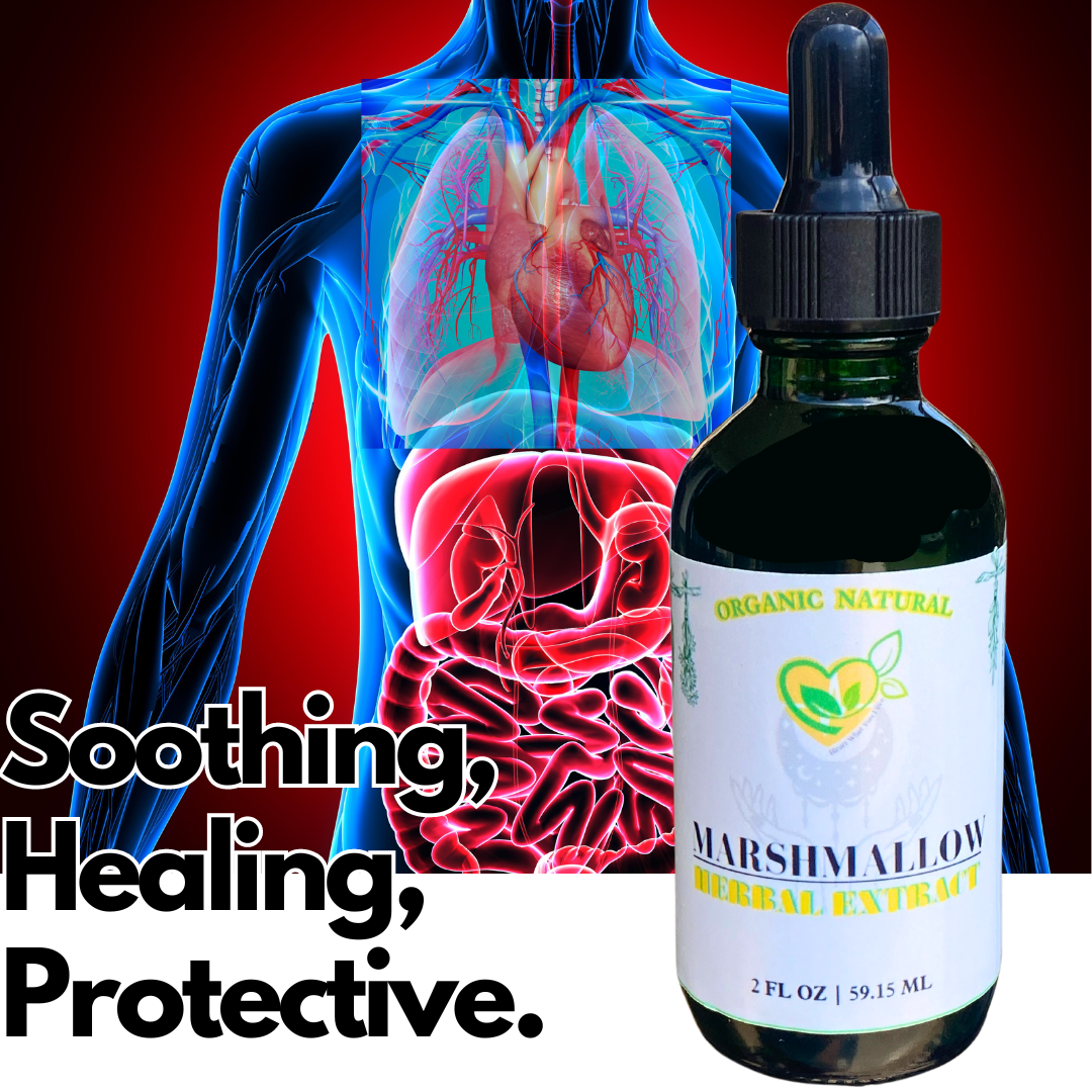 Marshmallow Leaf & Root Extract Non-Alcohol Tincture Liquid Drops 2oz Breath Gut