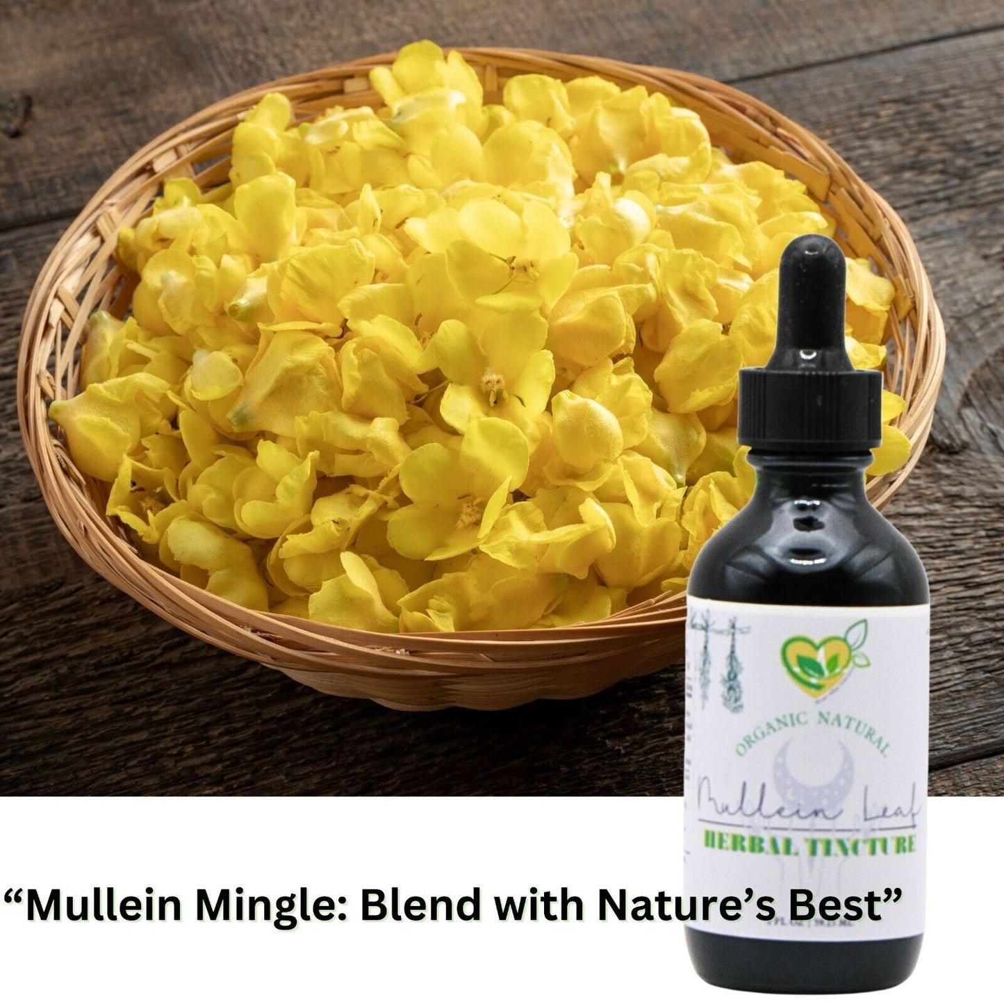 Natural Mullein Leaf 2 Oz Non-Alcohol Extract for Breathing & Lung Wellness"