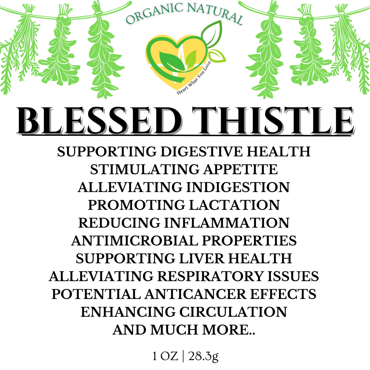 Blessed Thistle Herb Natural Organic for Digestion & Liver Wellness 28.3g | 1 oz