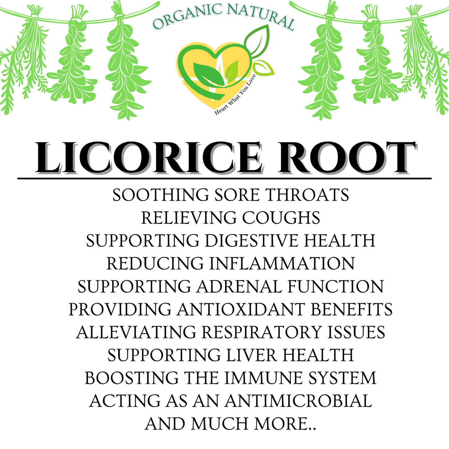 Licorice Root Extract Non-Alcohol Tincture Liquid Drop Respiratory Digestion 2oz