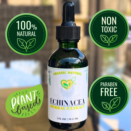 Echinacea Purpurea Non-Alcohol Extract Organic Liquid Drops 2 oz Immune Tincture