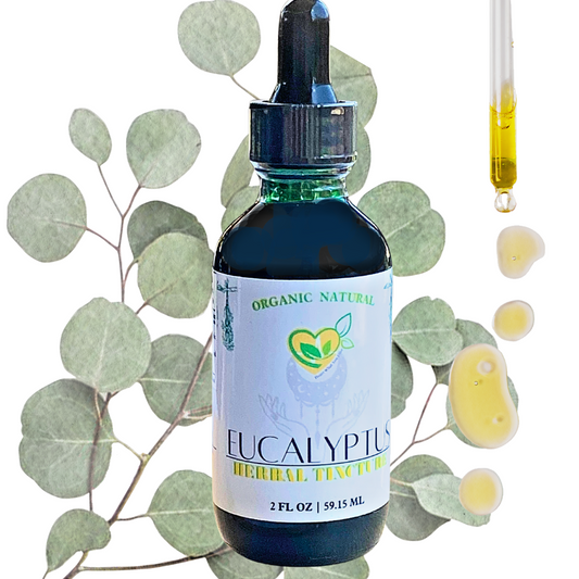 Eucalyptus Leaf Tincture Natural Organic Liquid Herbal Drop 2 oz Respiratory Aid