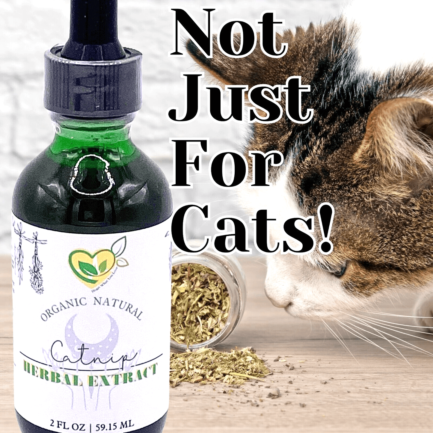 Catnip Tincture Organic Liquid Herbal Drops Natural Mood Sleep 2 OZ Bottle