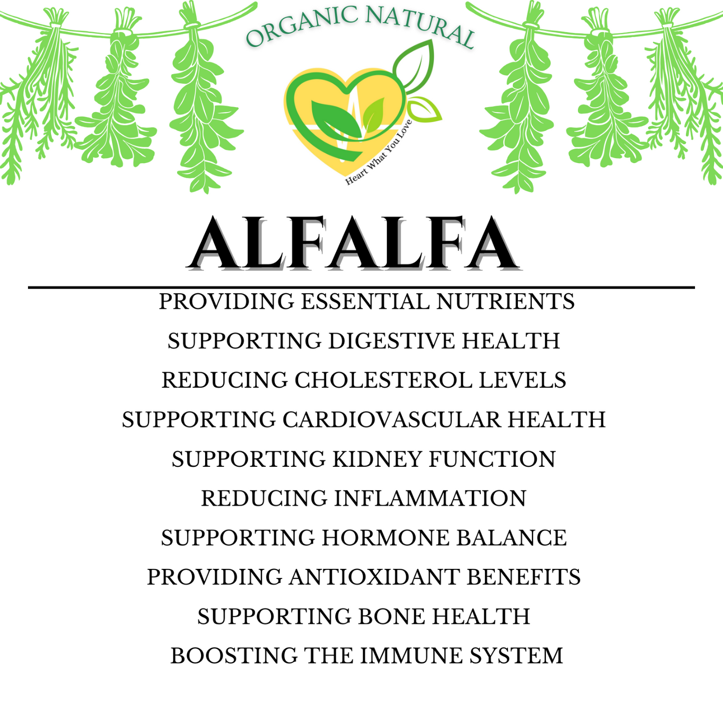 Organic Alfalfa Herbal Supplement Natural Plant-Based Vegetarian Capsules 60 CT